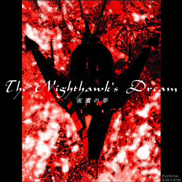 Nighthawk's Dream ̖